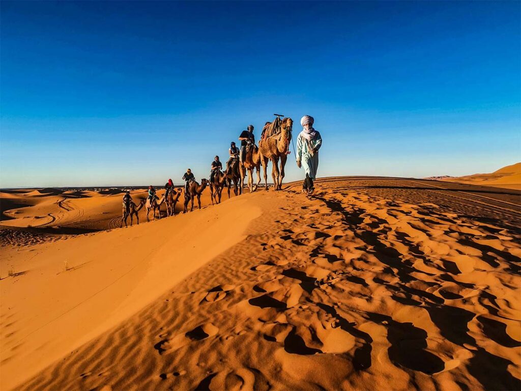 A group of people lead camels in single file across a sandy desert dune under a clear blue sky.
