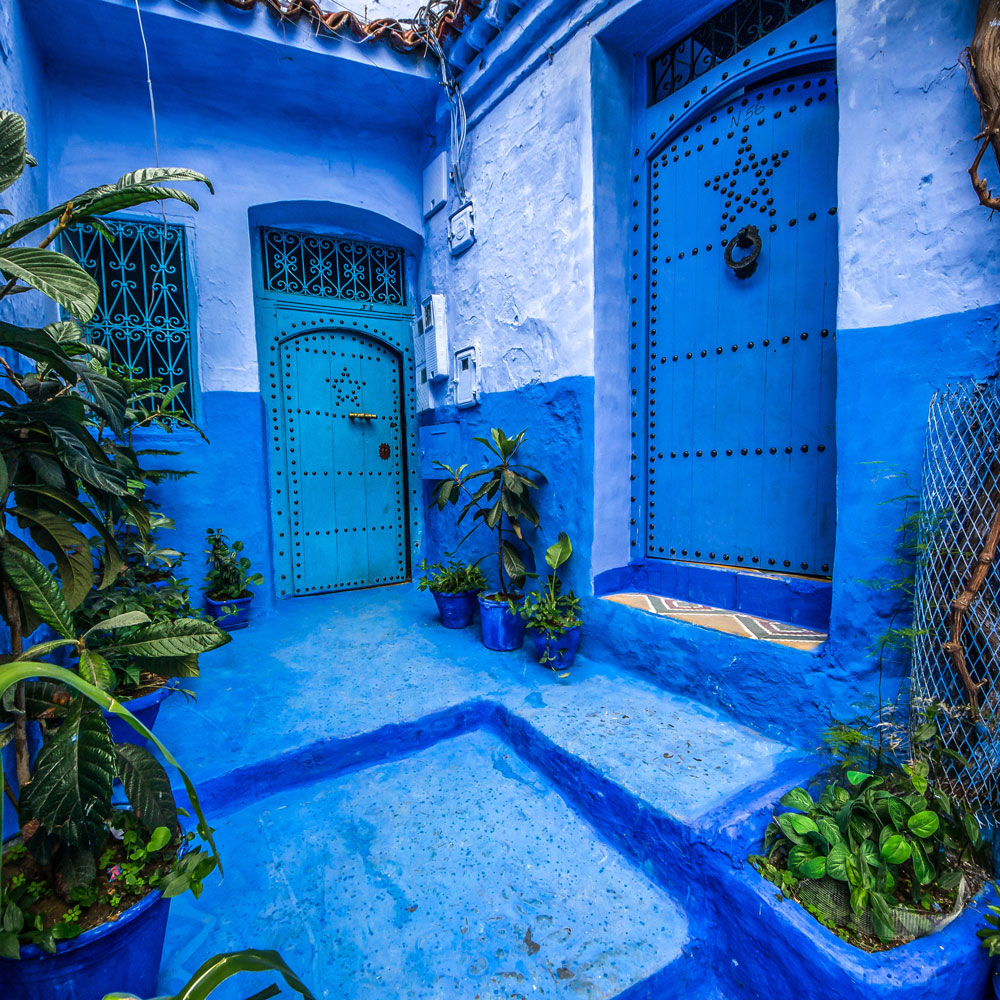 Plan your luxury culinary or heritage trip to Morocco and discover a courtyard with blue-painted walls, doors, and steps adorned with potted plants, all in traditional Moroccan architectural style.