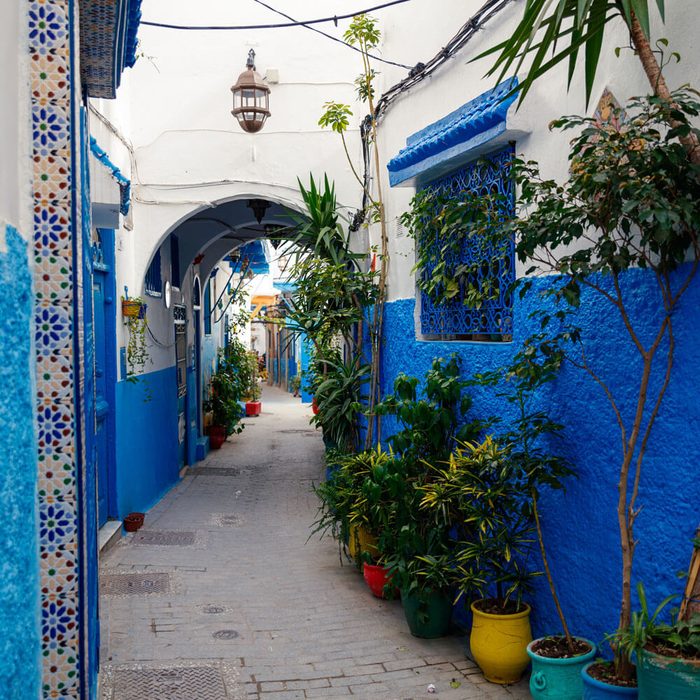 Narrow alleyway with white and blue painted buildings, potted plants, arched doorways, and a hanging lantern overhead—perfect inspiration as you plan your luxury culinary or heritage trip to Morocco.