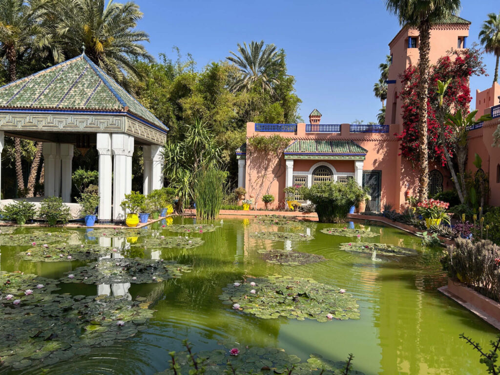 A garden with a green lily pond, tiled pavilion, pink building, palm trees, and various plants under a clear blue sky.