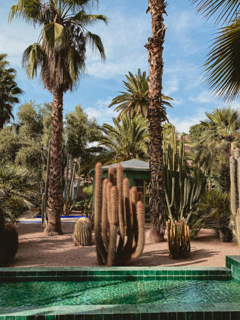 Green-tiled pool in the foreground with tall cacti and palm trees in a landscaped garden under a blue sky.