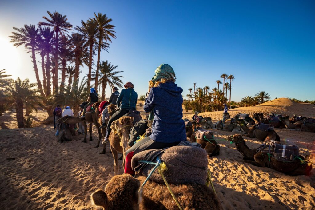 A group of people ride camels through a sandy desert landscape with palm trees under a clear blue sky.
