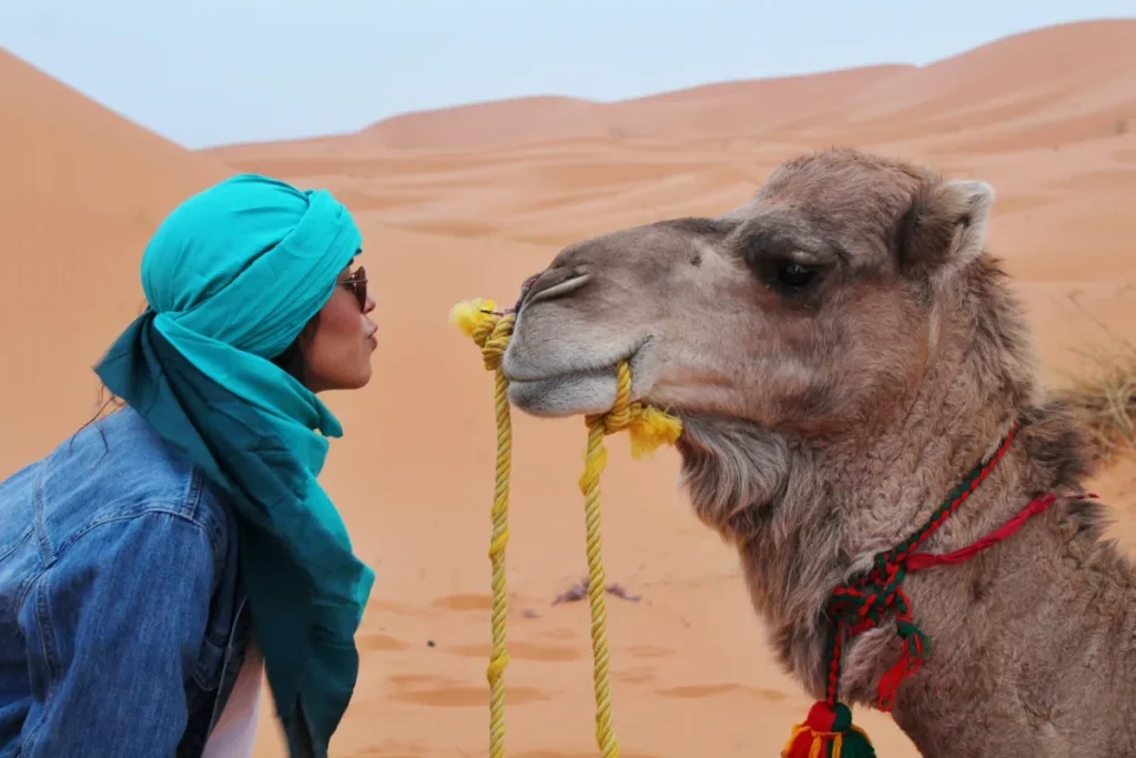 A person in a blue headscarf leans toward a camel in a desert, both facing each other closely. The camel has a yellow rope halter.