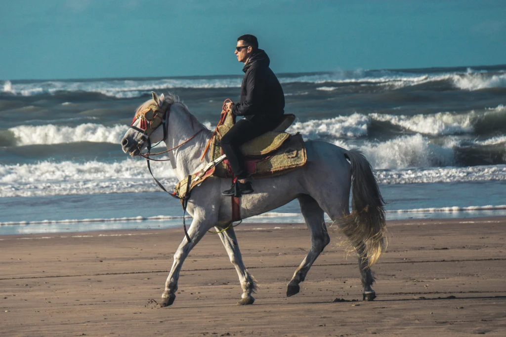 A person in dark clothing rides a white horse with decorative tack along a sandy beach near the ocean waves.