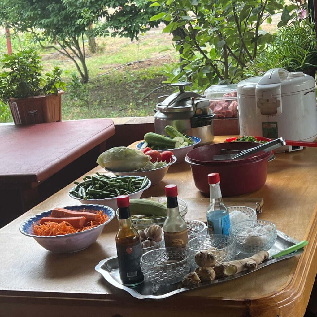 A table outdoors holds bowls of chopped vegetables, sauces, condiments, a rice cooker, a pressure cooker, and fresh herbs, ready for meal preparation. Trees and plants are in the background.
